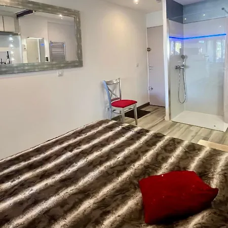 公寓 L'Escale Port Nature Studios 3 Etoiles Terrasses 阿格德