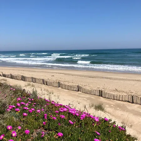 L'Escale Port Nature Studios 3 Etoiles Terrasses Apartment Agde