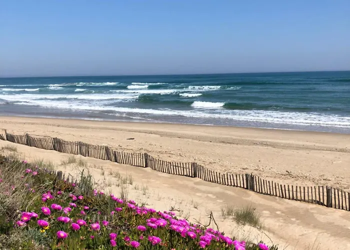 L'escale Port Nature 3 étoiles Terrasses Appartamento Agde